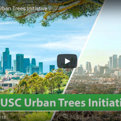 USC Urban Trees Initiative